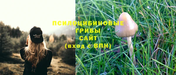 альфа пвп Корсаков
