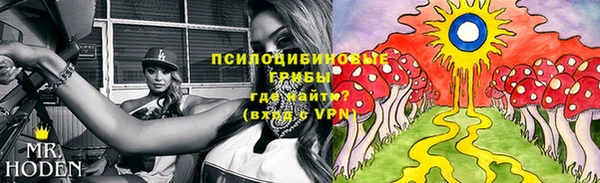 альфа пвп Корсаков