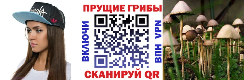 Псилоцибиновые грибы ЛСД  Топки 