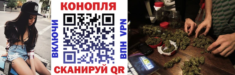 Канабис сатива  купить наркотик  Топки 